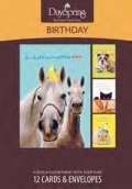 Card-Boxed-Birthday-Humor Pets (Box Of 12) (Pkg-12)