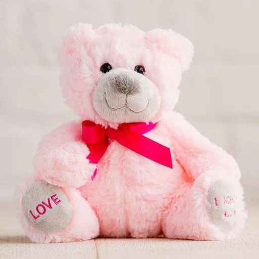 Plush-Hug For Your Heart Bear-Love-Pink (9")