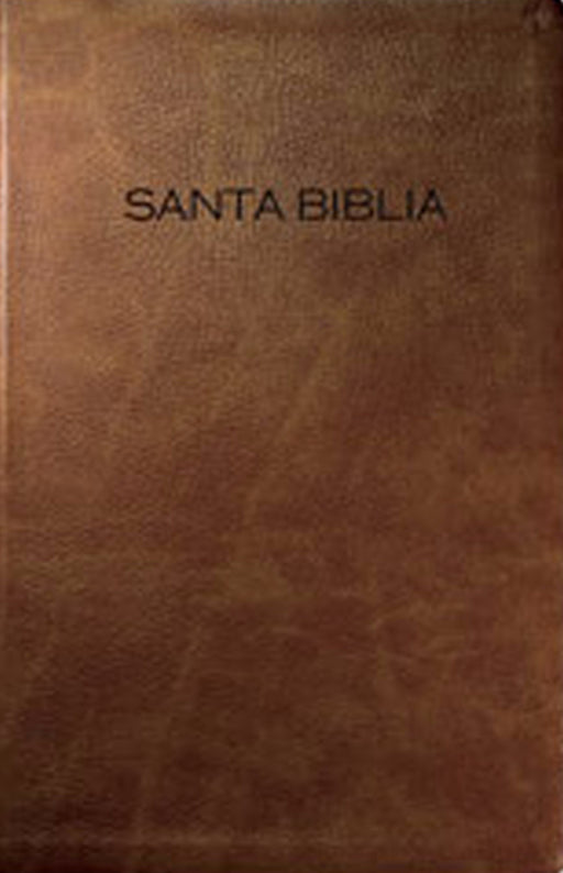 Span-NIV*Gift And Award Bible (Santa Biblia para Regalo y Premio NVI)-Brown Imitation Leather