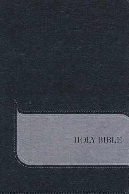 NIV Understand The Faith Study Bible-Black/Gray Duo-Tone