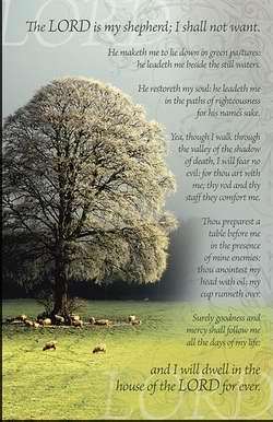 Bulletin-Lord Is My Shepherd; I Shall Not Want-White Tree (Psalm 23) (Pack Of 50) (Pkg-50)