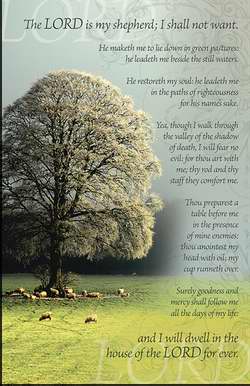Bulletin-Lord Is My Shepherd; I Shall Not Want-White Tree (Psalm 23) (Pack Of 100) (Pkg-100)