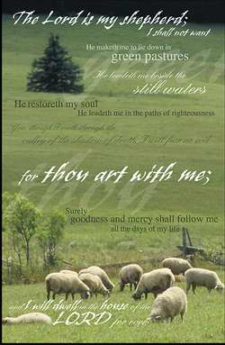 Bulletin-Lord Is My Shepherd; I Shall Not Want-Sheep (Psalm 23) (Pack Of 50) (Pkg-50)