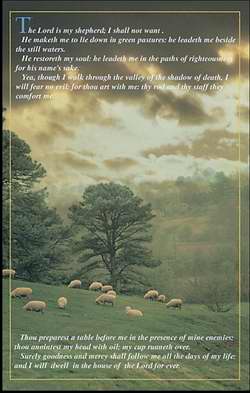 Bulletin-Lord Is My Shepherd; I Shall Not Want-Tree & Sheep (Psalm 23) (Pack Of 50) (Pkg-50)