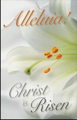 Bulletin-Alleluia! Christ Is Risen/Lily (Easter) (Pack Of 100) (Pkg-100)