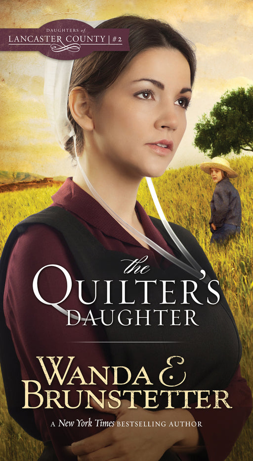 Quilter's Daughter (Daughters Of Lancaster County V2) (Repack)
