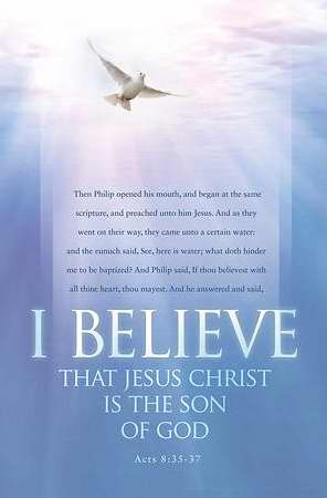 Bulletin-Baptism: I Believe (Acts 8:35-37 KJV) (Pack Of 100 ) (Pkg-100)