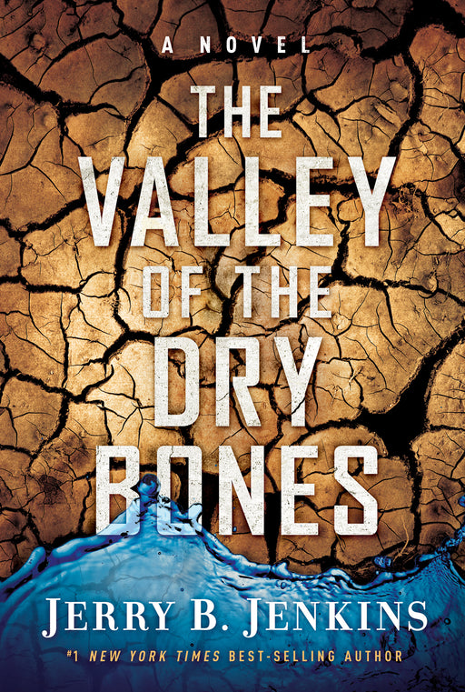 Valley Of Dry Bones: An End Times Novel
