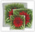 Plate Set-Cozenza Collection-Poinsettia (3 Piece Set)