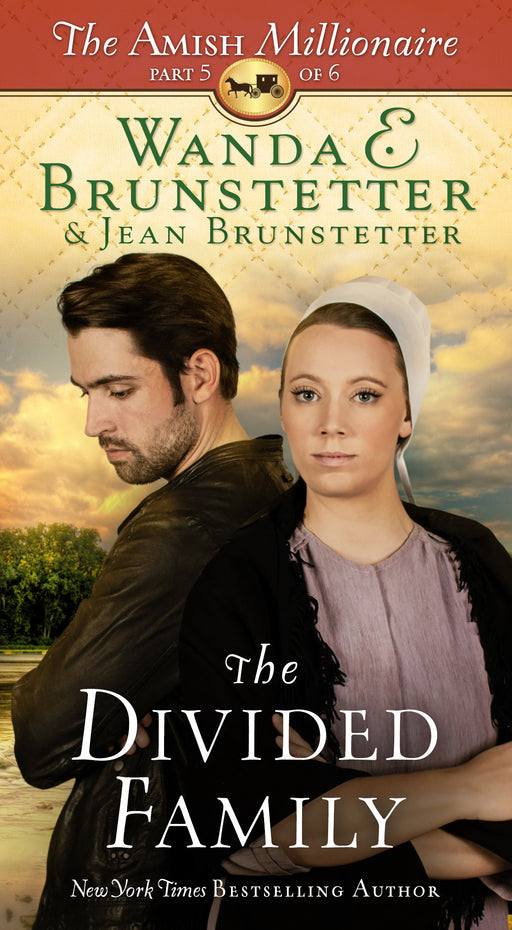 Divided Family (Amish Millionaire Part 5)