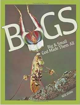 Bugs: Big & Small God Made Them All