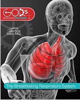 God's Wondrous Machine: Breathtaking Respiratory System
