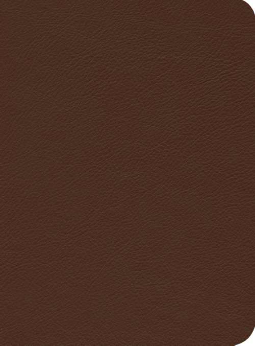 ESV Reformation Study Bible-Brown Premium Leather