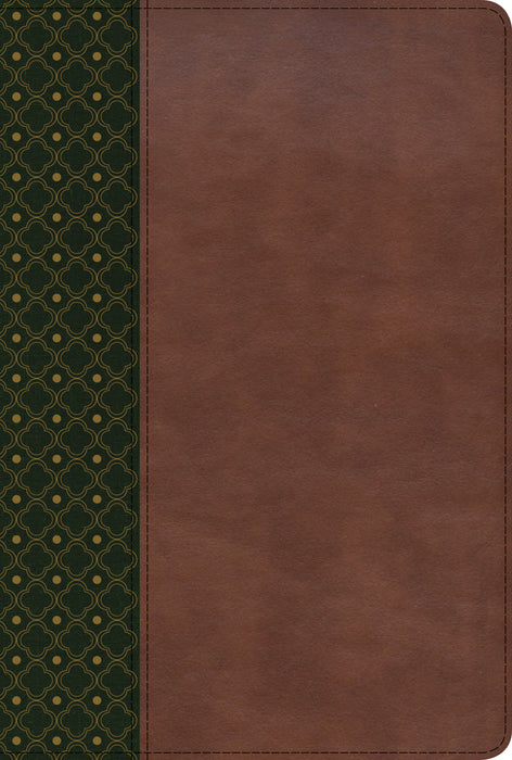 Span-RVR 1960 New Scofield Study Bible-Dark Green LeatherTouch