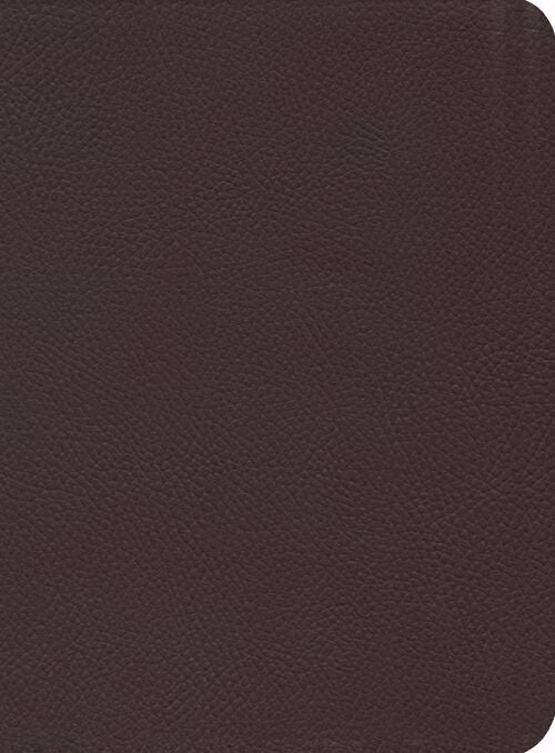 NKJV Reformation Study Bible-Burgundy Genuine Leather