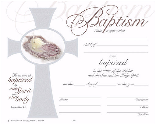 Certificate-Baptism Art Foil (8 x 10) (Pack Of 6) (Pkg-6)