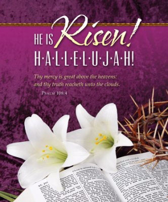 Bulletin-He Is Risen! Hallelujah! (Easter) (Psalm 108:4) (Pack Of 100)  (Pkg-100)