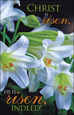 Bulletin-Christ Is Risen/He Is Risen Indeed! (Easter) (Pack Of 50) (Pkg-50)