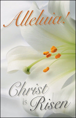 Bulletin-Alleluia! Christ Is Risen/Lily (Easter)-Legal Size (Pack Of 50) (Pkg-50)