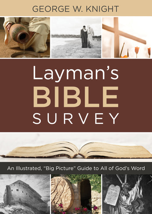 Layman's Bible Survey