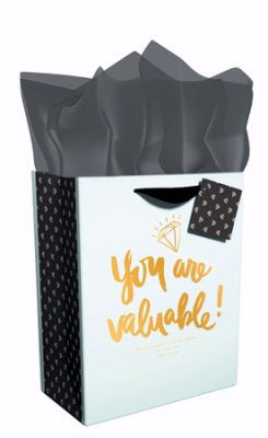 Gift Bag-Specialty-You Are Valuable-Proverbs 31:30-Medium