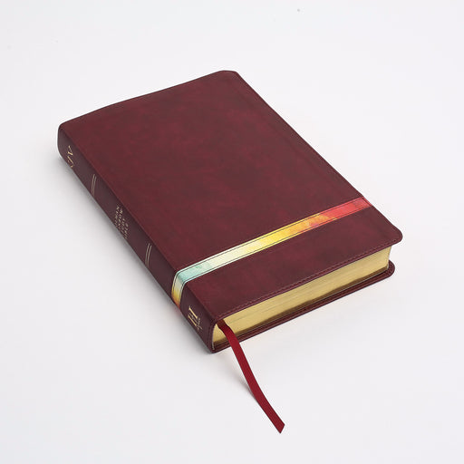 KJV Holman Rainbow Study Bible-Maroon LeatherTouch Indexed