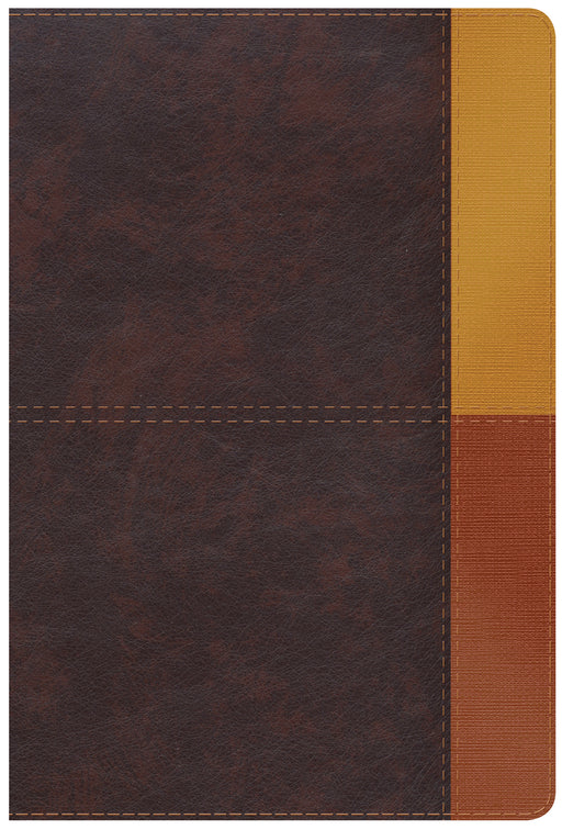 NIV Holman Rainbow Study Bible-Cocoa/Terra Cotta/Ochre Leathertouch