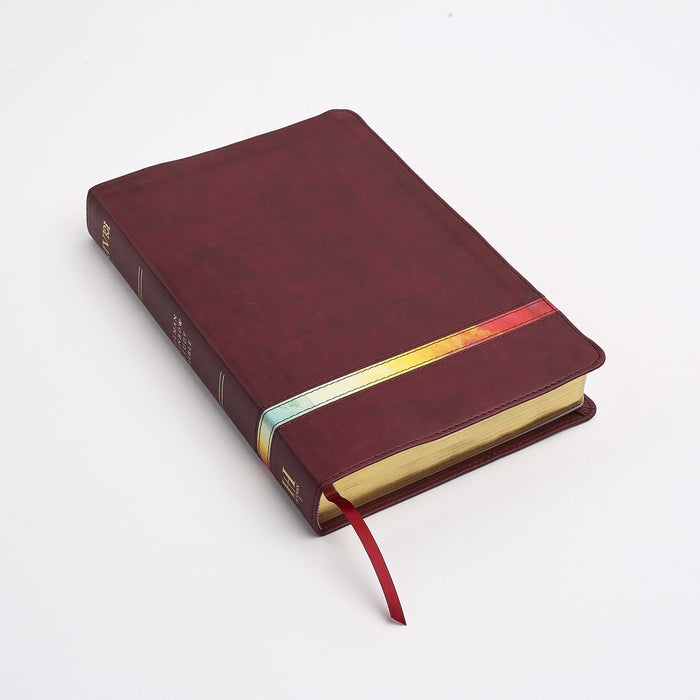 NIV Holman Rainbow Study Bible-Maroon Leathertouch Indexed