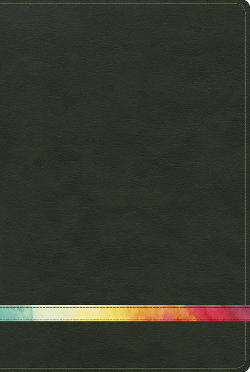 Span-RVR 1960 Rainbow Study Bible-Deep Green/Multicolor LeatherTouch