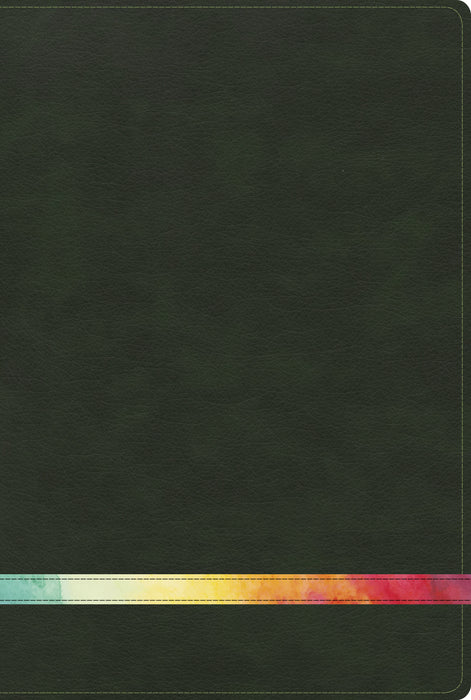 Span-RVR 1960 Rainbow Study Bible-Deep Green/Multicolor LeatherTouch Indexed
