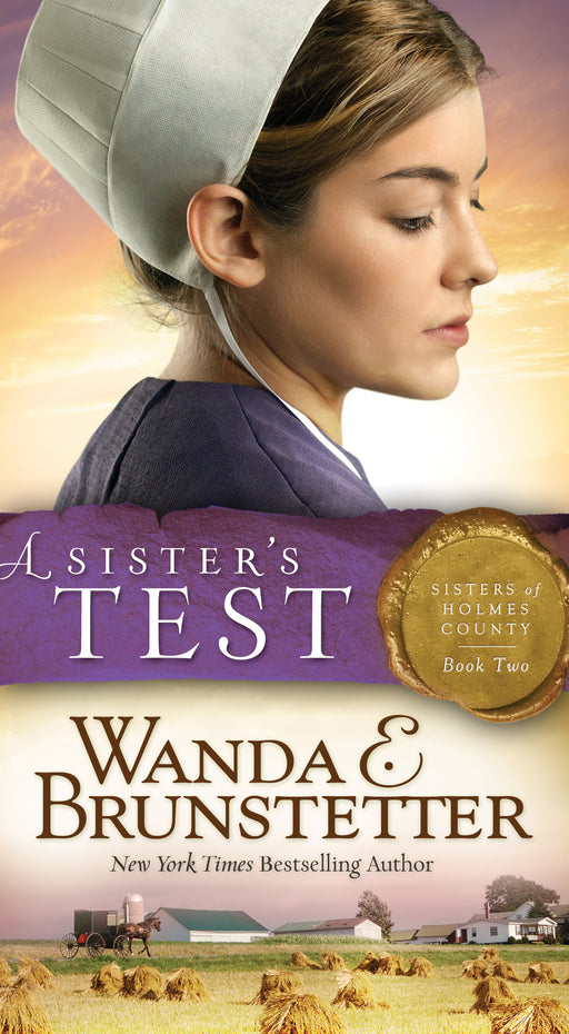 Sister's Test (Sisters Of Holmes County V2) (Repack)