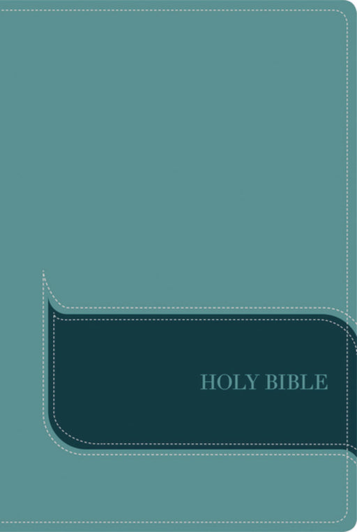 NIV Understand The Faith Study Bible-Turquoise Duo-Tone Indexed