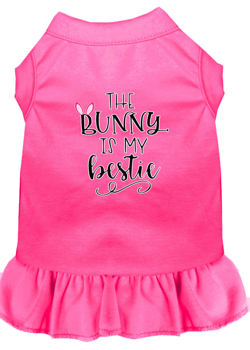 Bunny is my Bestie Screen Print Dog Dress Bright Pink XL (16)