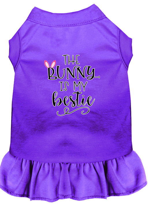 Bunny is my Bestie Screen Print Dog Dress Purple Lg (14)