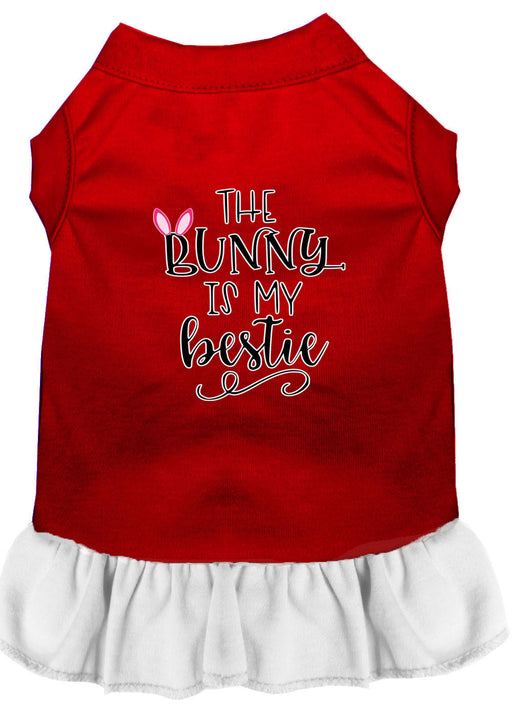 Bunny is my Bestie Screen Print Dog Dress Red with White XS (8)