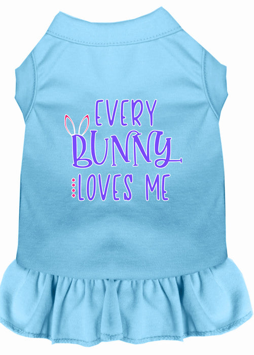 Every Bunny Loves me Screen Print Dog Dress Baby Blue XS (8)