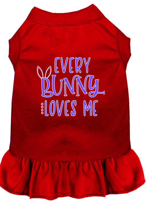 Every Bunny Loves me Screen Print Dog Dress Red XS (8)