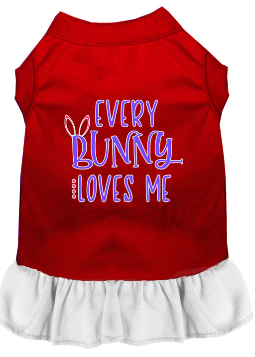 Every Bunny Loves me Screen Print Dog Dress Red with White XS (8)