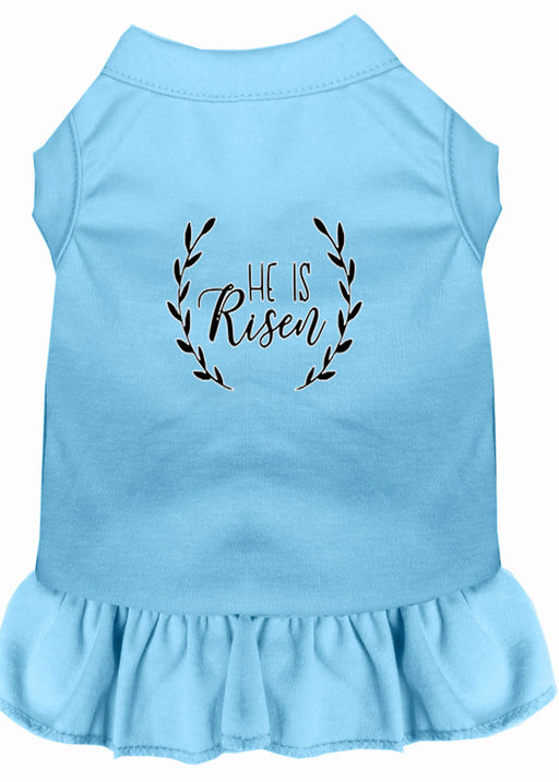 He Is Risen Screen Print Dog Dress Baby Blue Med (12)