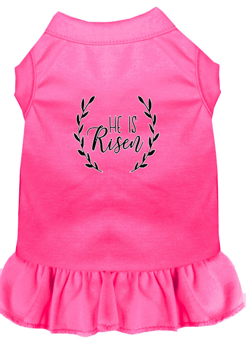 He Is Risen Screen Print Dog Dress Bright Pink XL (16)