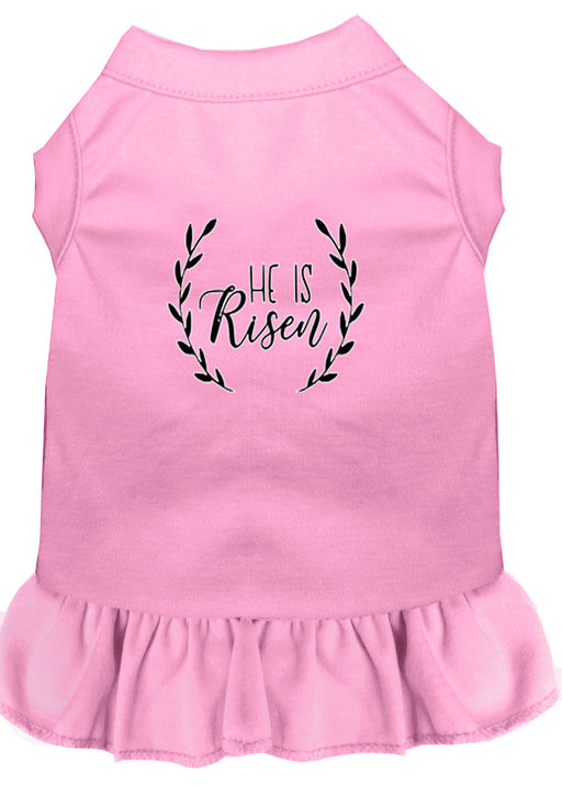 He Is Risen Screen Print Dog Dress Light Pink 4X (22)