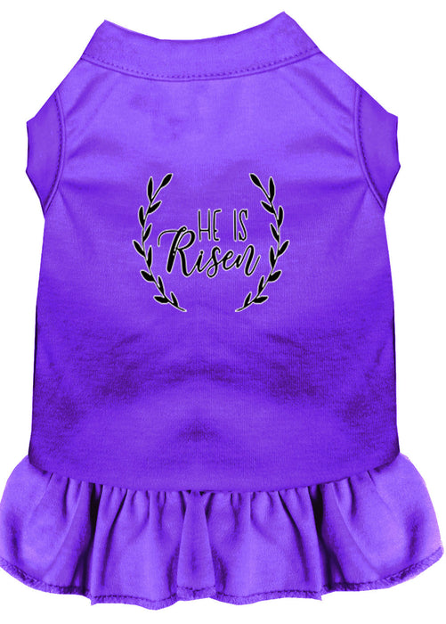 He Is Risen Screen Print Dog Dress Purple Sm (10)