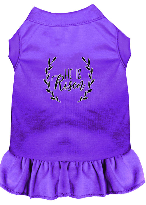 He Is Risen Screen Print Dog Dress Purple XL (16)