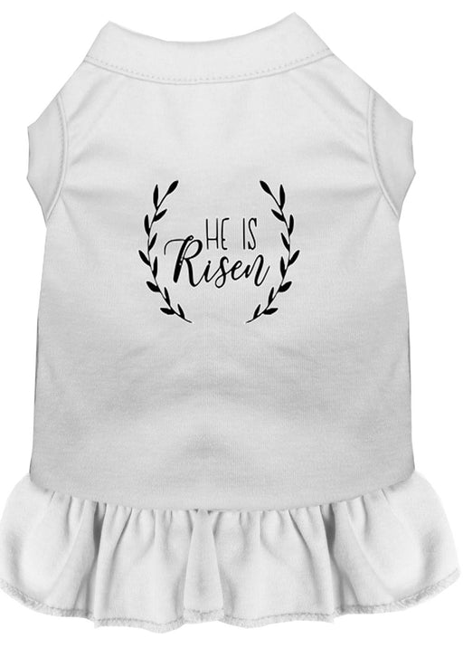 He Is Risen Screen Print Dog Dress White XL (16)