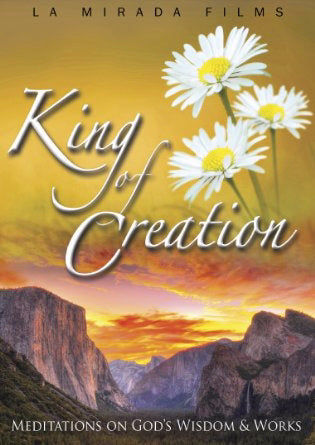 DVD-King Of Creation