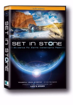 DVD-Set In Stone