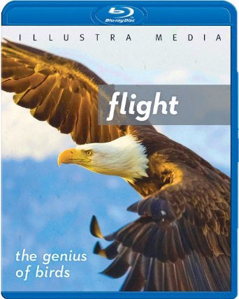 DVD-Flight: The Genius Of Birds Blu-Ray