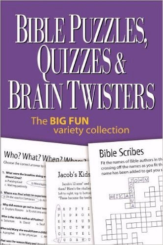 Bible Puzzles, Quizzes & Brain Twisters