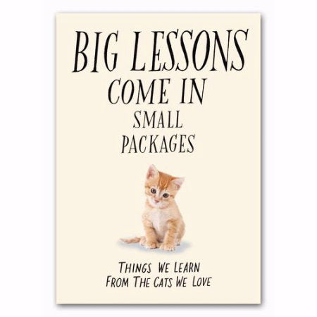 Big Lessons Come In Small Packages