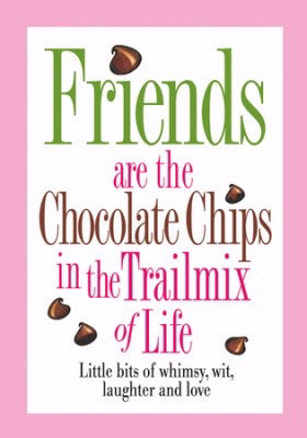 Friends Are The Chocolate Chips In The Trailmix Of Life